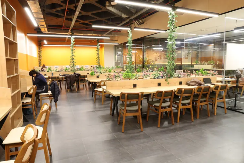 Baykuş Kafe Kütüphane’den bir kare